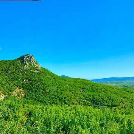 Hani I Leks Agroturizem Lezhë Extérieur photo